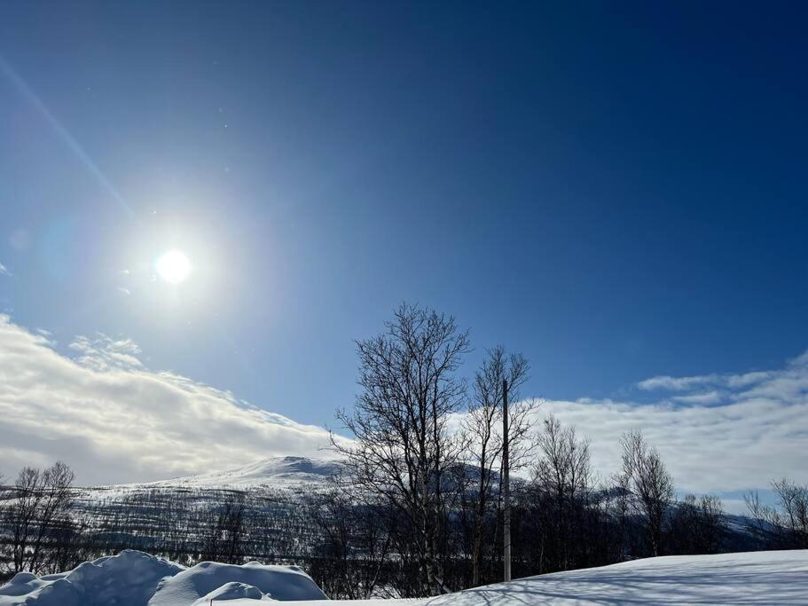 Skaidi Lodge - Modern Cabin Luxury - 6 Beds Hammerfest Luaran gambar
